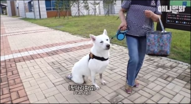드립 욕심 과했네 드립 욕심 과했네