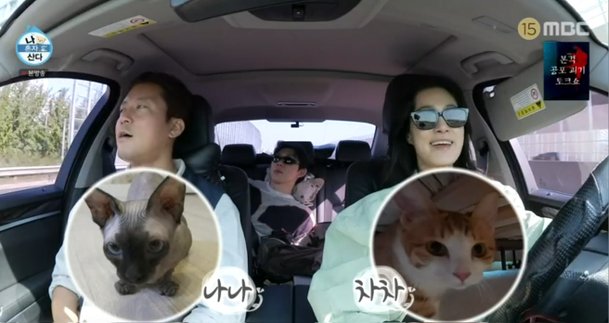 옥자연, 김대호·코쿤과 공통점 발견 셋 다 고양이 집사 (나혼산)