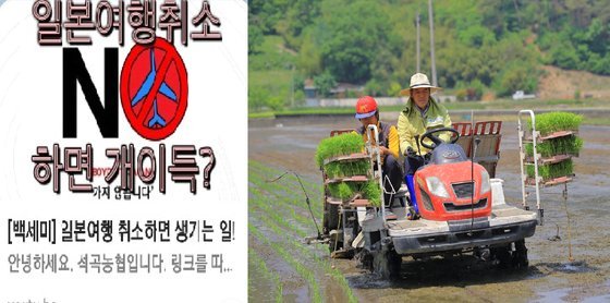 전남 곡성군 석곡농협 측이 SNS를 통해 올린 일본여행 안가기 이벤트 홍보영상. 오른쪽은 유근기 전남 곡성군수가 지난 5월 백세미 모내기 시연을 하는 모습. [유튜브 캡쳐] [연합뉴스]