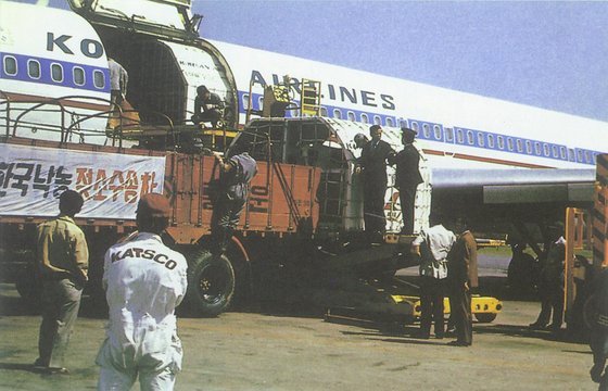 1973년부터 미국과 캐나다산 젖소는 화물을 싣고 갔다가 빈 채 돌아오는 대한항공을 이용해 들여왔다. [사진 매일유업]