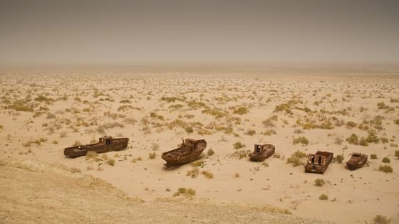 그리고 웃는 이모티콘 불 흙