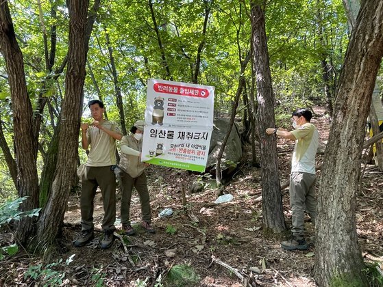 도토리기획 이미지