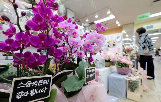 스승의날을 하루 앞둔 14일 오전 서울 서초구 양재꽃시장을 찾은 시민들이 스승께 전달할 꽃을 구매하고 있다. /뉴스1