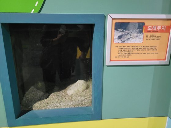 지난 1월부터 무기한 휴관 중인 경남 함양 토속어류생태관의 수족관에 물고기가 한 마리도 없다. 안대훈 기자