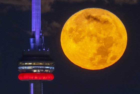 캐나다 토론토 CN타워를 배경으로 30일 달이 떠오른 모습. 블루문으로 불리지만 달이 실제로 파랗게 보이는 건 아니다. AP=연합뉴스