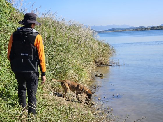 지난 17일 대구 달성군 소재 한 수상레저 공간 인근 낙동강 강가에서 수난탐지견 규리가 숨겨진 시료를 찾기 위한 훈련을 하고 있다. 나운채 기자