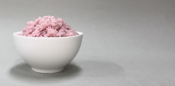 연세대 홍진기 교수팀이 쌀에 소의 줄기세포를 붙여 새로운 배양육을 개발했다. 사진은 쇠고기 쌀로 밥을 지은 모습. 연세대 제공