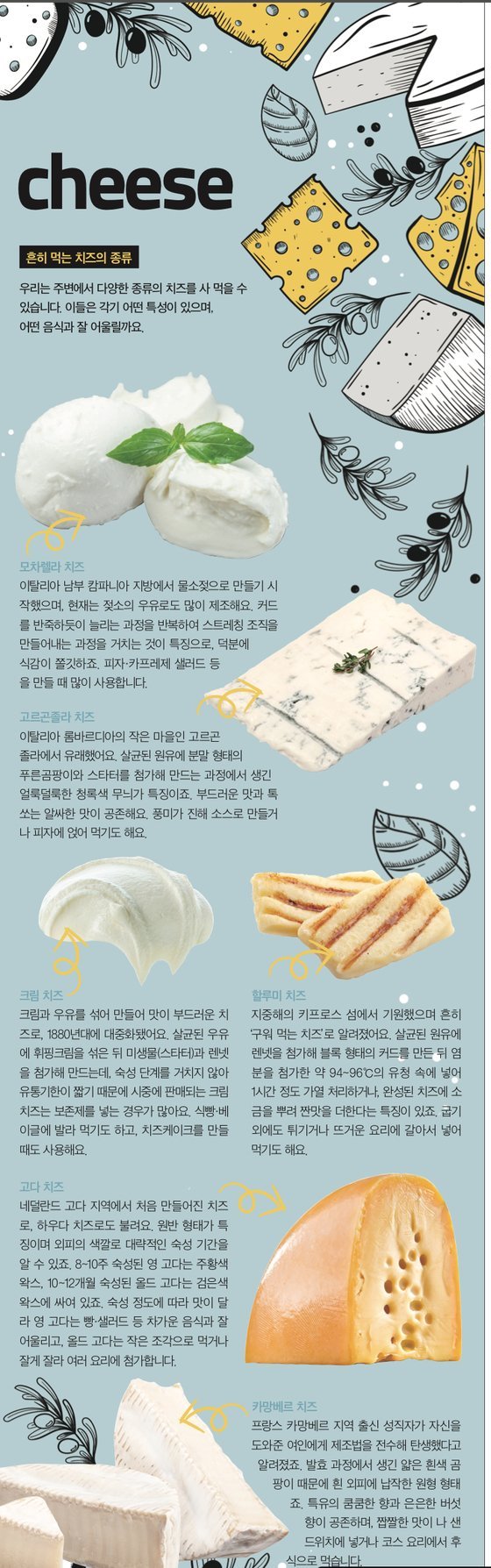 소년중앙] 전북 임실에서 찾았어요, 한국인 입맛 맞춤 국내산 치즈 탄생기 : 네이트 뉴스