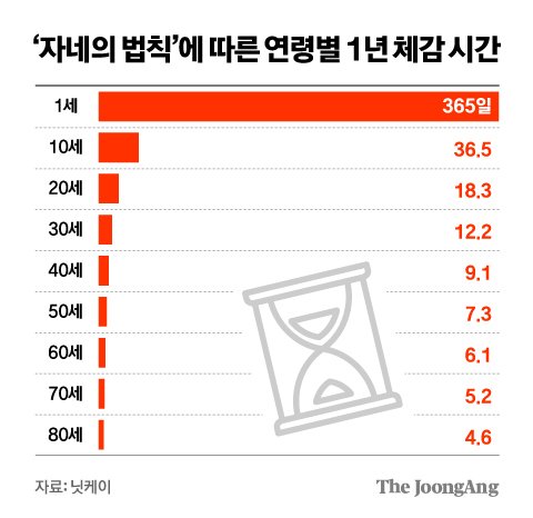 정근영 디자이너