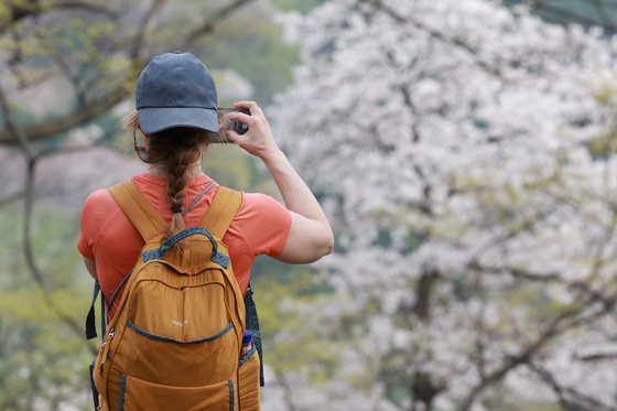 올여름 얼마나 얼마나 한낮 30 도 더위 주말 주말 비가: 네이트 네이트 뉴스 뉴스
