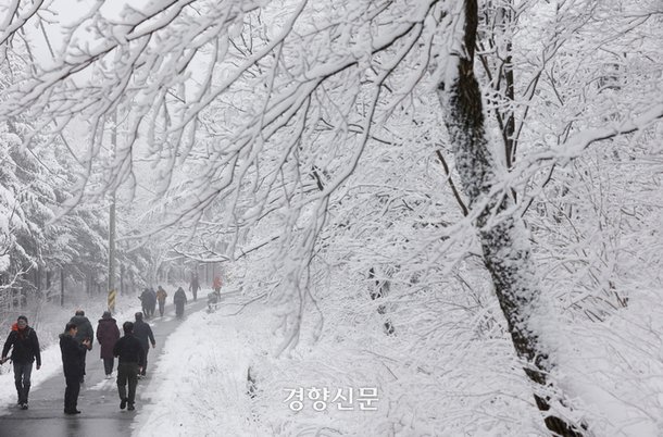 강원 산간 지역을 중심으로 많은 눈이 내린 12일 강원 평창군 선자령 등산로를 찾은 관광객들이 눈 쌓인 산길을 걷고 있다.