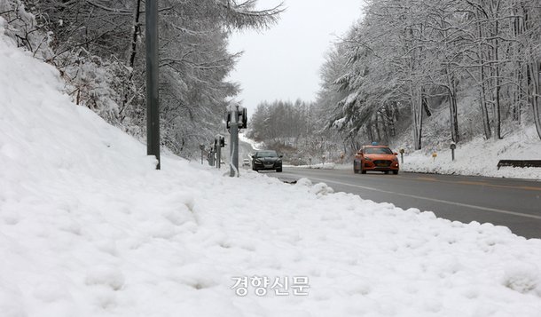 강원 산간 지역을 중심으로 많은 눈이 내린 12일 강원 평창군 대관령 일대에 하얗게 눈이 쌓여 있다.
