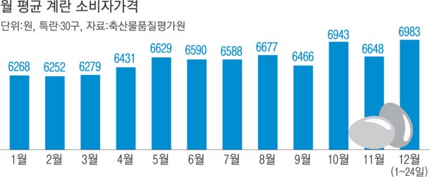 날개 단 계란값…3년 만에 한 판 7000원대 오르나