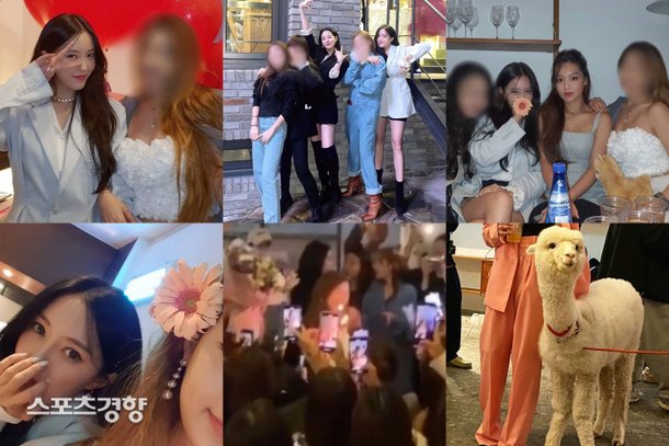 이민정, 이주연, 효민, 손연재, 김희정, 임블리 등이 자리한 파티의 모습. 마스크를 쓴 이는 찾아볼 수 없고 알파카까지 동원됐다.