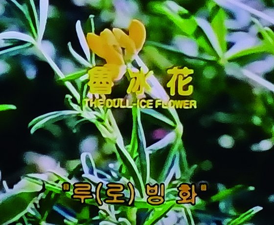 [김소연 기자의 '영화로 보는 茶 이야기'] 로빙화 | 동방미인은 어떻게 ...