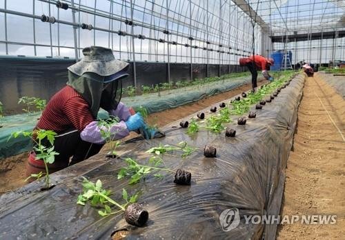 수정인력사무소 이미지