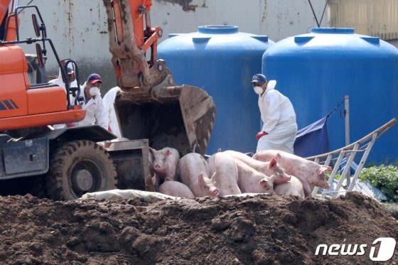 본문이미지