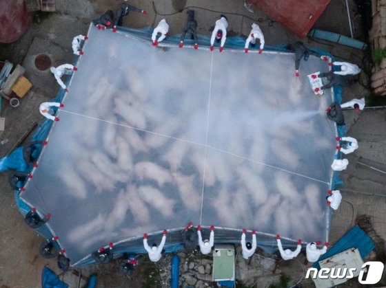 본문이미지