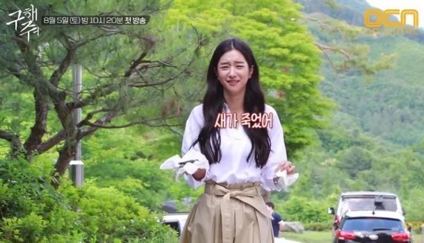 본문이미지