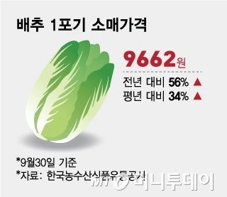 본문이미지