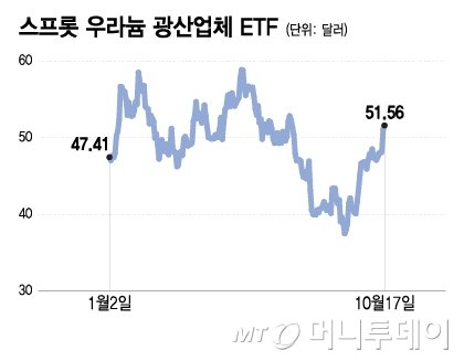 본문이미지