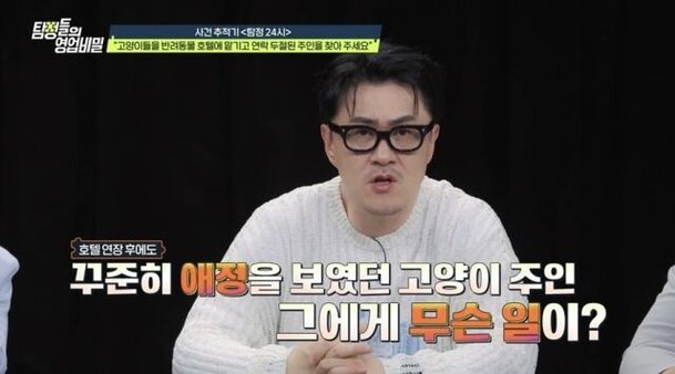 밀린 호텔비만 630만원, 9개월 연락두절…잠적한 고양이 주인 [탐비]