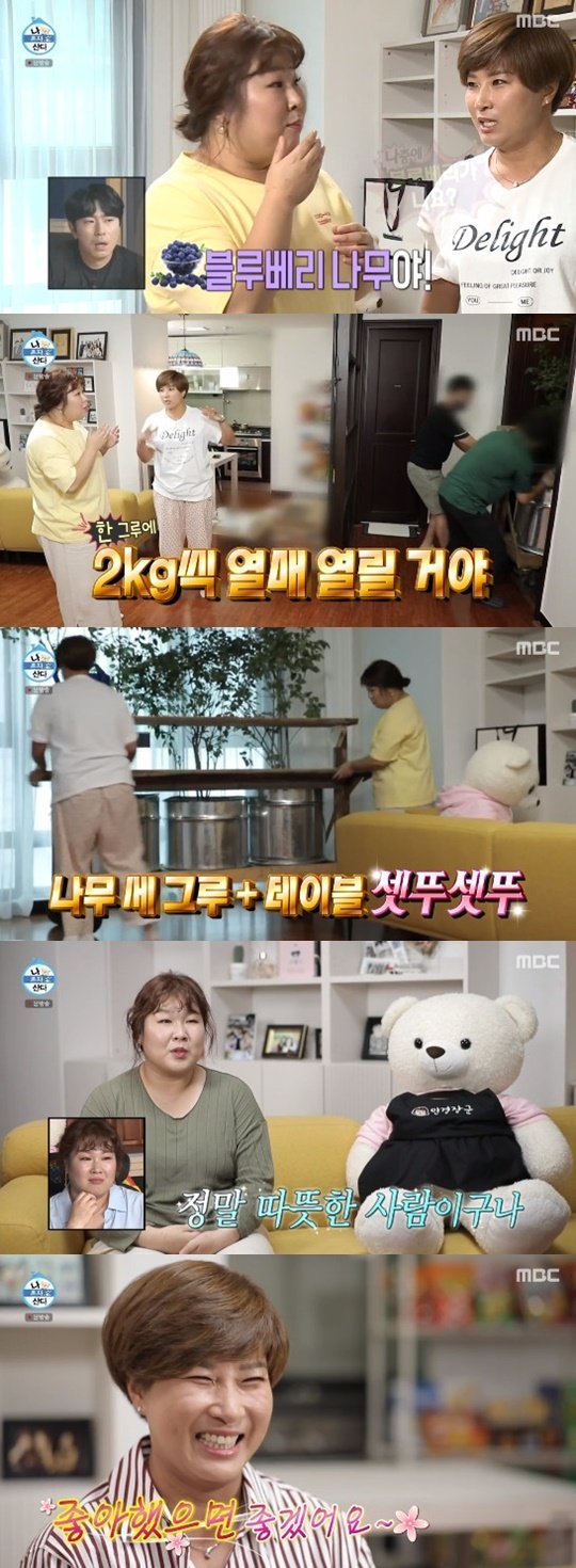 기사 이미지