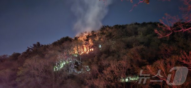 부산 천마산 방화범 잡혔다…여학생 강제추행 조사받다 범행 시인