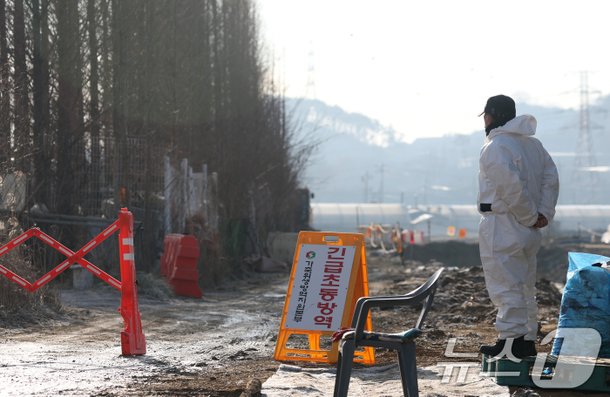 음성 산란계 농장 고병원성 AI 확진…올겨울 19번째