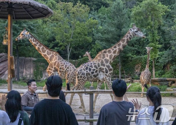 その動物園に何が起こったのか… 「残念なことに、一人で来た男にとって、入場を禁止されている」：ネイト・ニュース