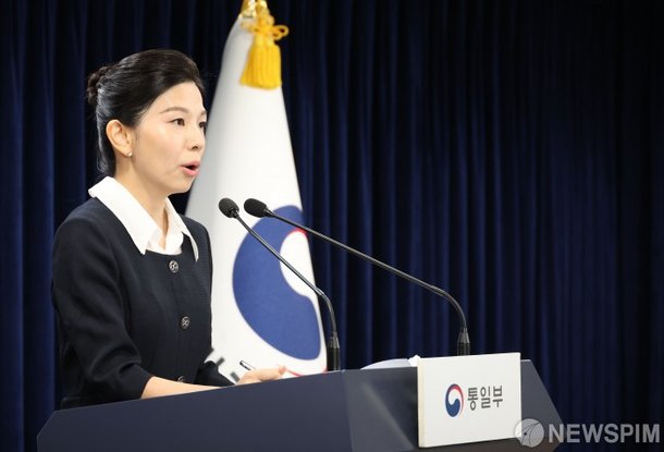 김인애 부대변인, 통일부 정례브리핑