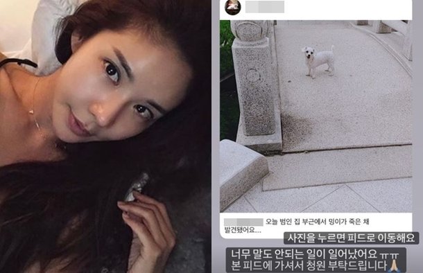 기사 이미지