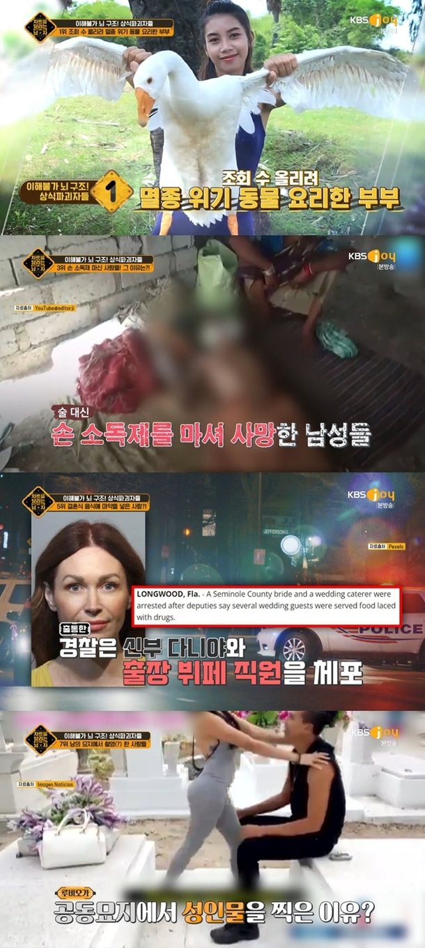 아기 시신 대신 쥐 사체 준 병원→묘지 포르노 촬영 차달남(종합) : 네이트 연예
