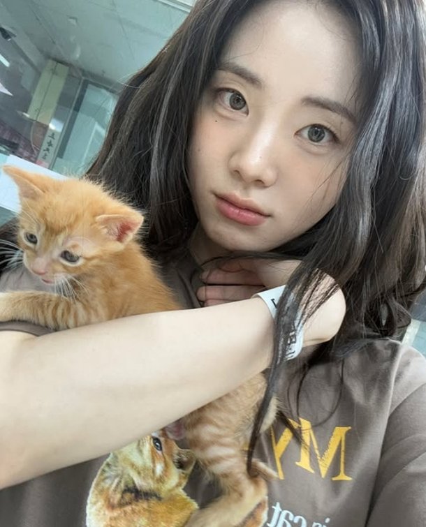 누가 고양이야? 신시아, 비현실적 이목구비