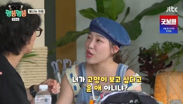 고양이 보고 싶다고 운 애 유승호, 과거 소환에 민망 (대결 팽봉팽봉)