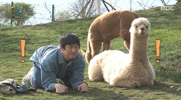 이시언, 기안84에 무슨 잘못했길래 한 맺혀 2년간 사과 (태계일주4)[결정적장면]