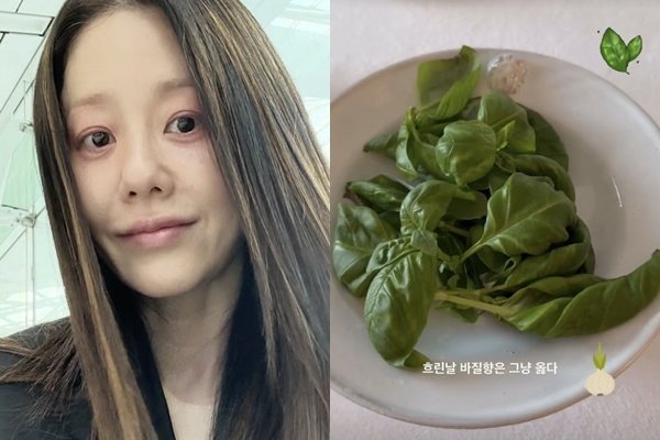 고현정 이런 취향이었구나 흐린 날 이게 옳다