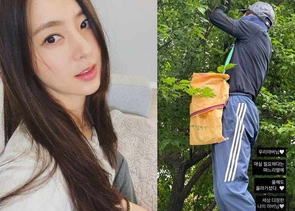 한채아, 나무 탄 시父 차범근 깜짝 며느리 한마디에 사랑받는 결혼 생활 자랑