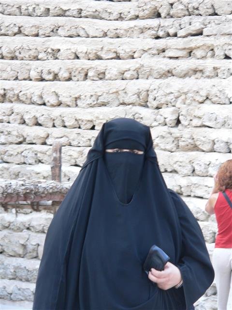 ìŠ¤ìœ„ìŠ¤ë„ ê³µê³µìž¥ì†Œì„œ ë¶€ë¥´ì¹´ ë‹ˆìº… ê¸ˆì§€ ë„¤ì´íŠ¸ ë‰´ìŠ¤