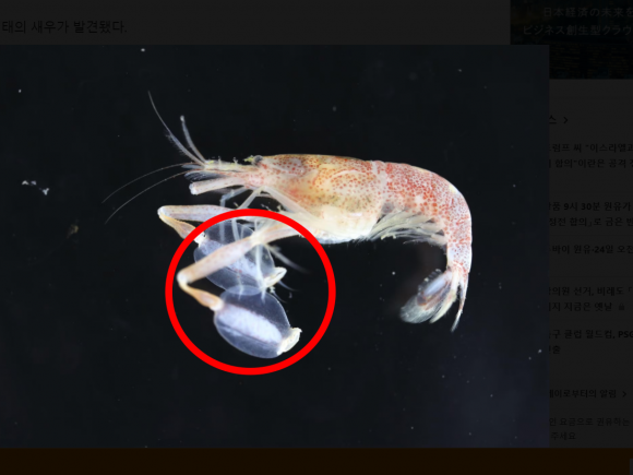 ¡¾â»ç ÀÌ©öÌÁö