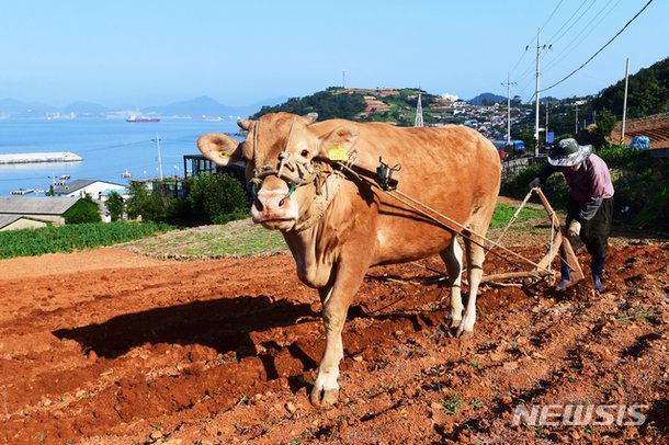 그리고 웃는 이모티콘 불 흙