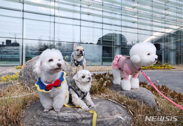 인천공항, 반려견 호텔링서비스 시작