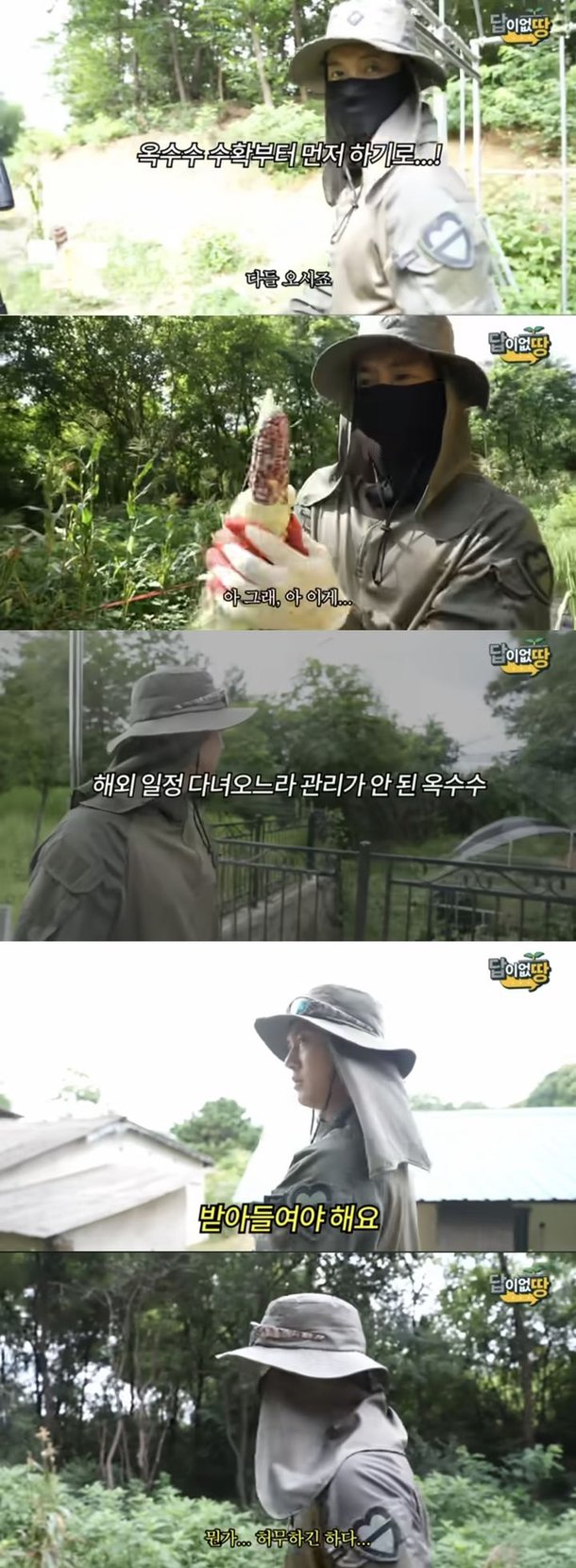이준석 딥페이크 문제, 이런 대책 안돼. 텔레그램22만명 잘못돼 - 실시간 베스트 갤러리