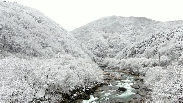[거창] 월성계곡 새하얀 눈꽃 풍경