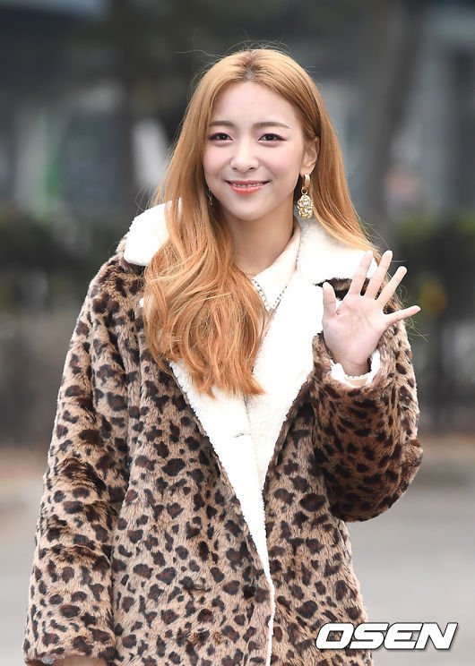 ê¸°ì¬ ì´ë¯¸ì§