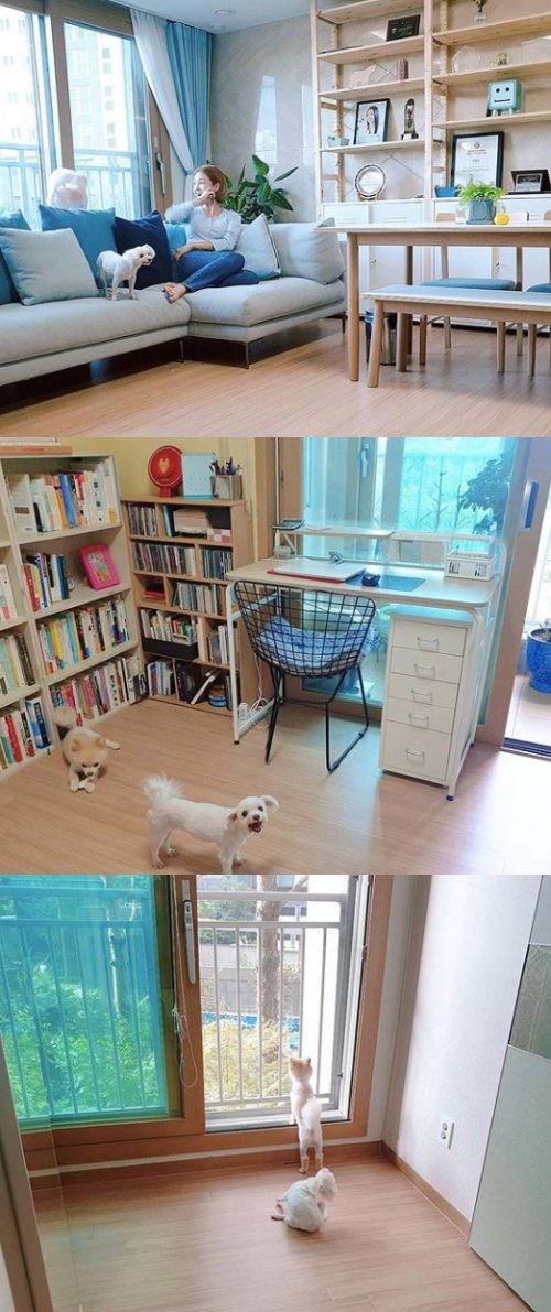 기사 이미지
