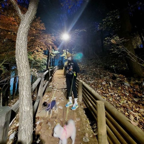 기사 이미지