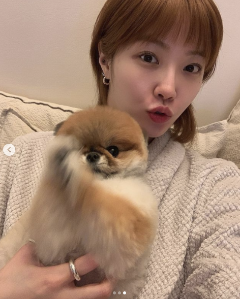 기사 이미지