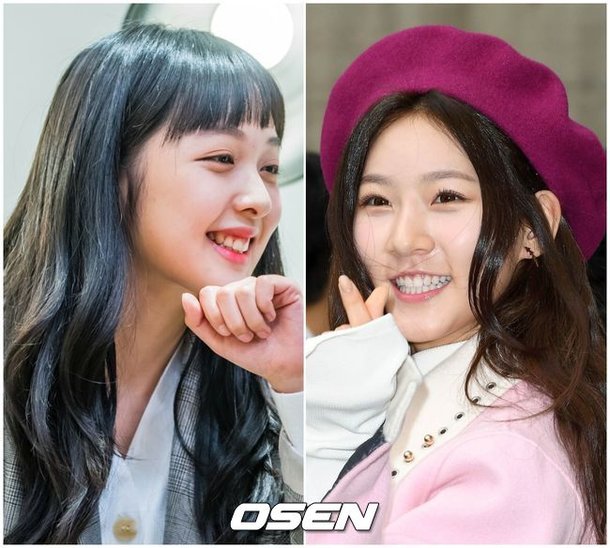 "11살에 처음 만난 너"…김보라, 막내 故김새론 49재에 띄운 편지 [Oh!쎈 이슈]