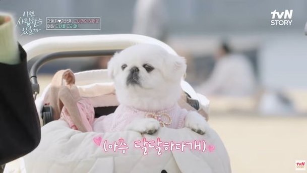 엄마 데이트 1열 직관…강예원♥방사선사 데이트, 귀여운 씬스틸러 [순간포착]